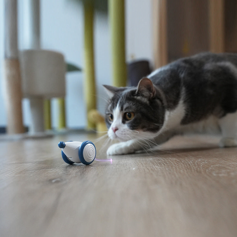 Enchanting PETLIBRO LED Wonderland: Captivating Indoor Cat Adventure - USB Rechargeable Smart Toy with Auto On/Off, Electric Mouse Magic & Irresistible Kitten Playtime!