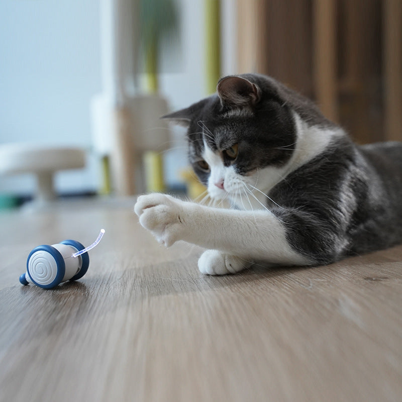 Enchanting PETLIBRO LED Wonderland: Captivating Indoor Cat Adventure - USB Rechargeable Smart Toy with Auto On/Off, Electric Mouse Magic & Irresistible Kitten Playtime!