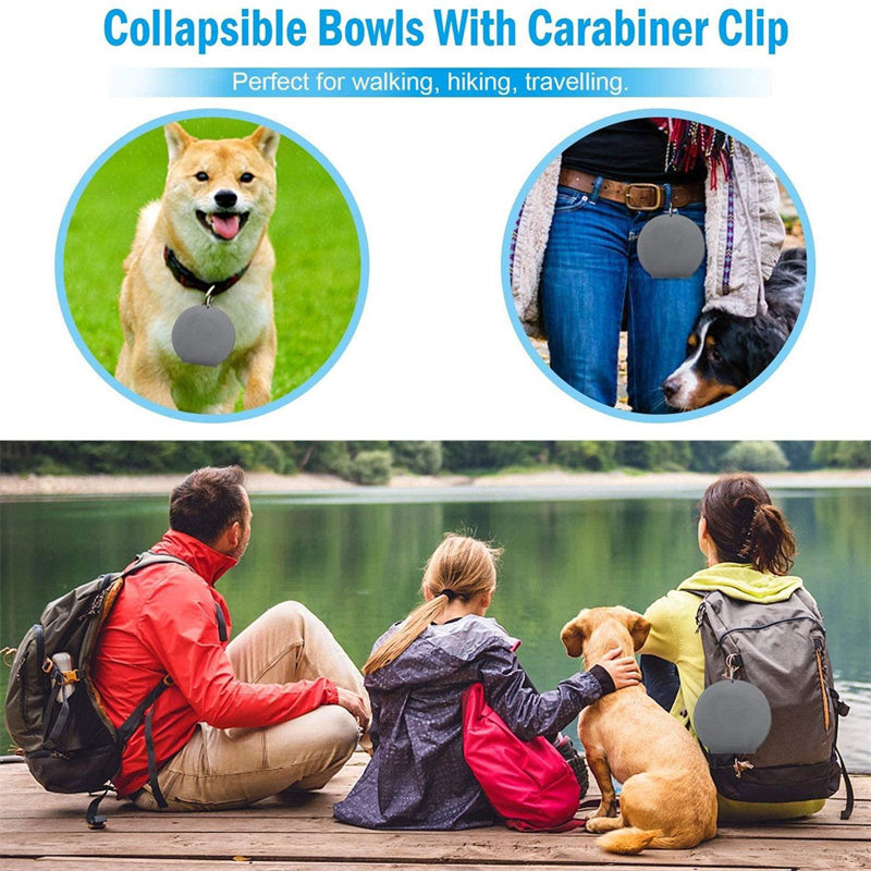 Versatile DuoBowl™: Collapsible Double Pet Feeding Bowls with No-Spill Silicone Mat