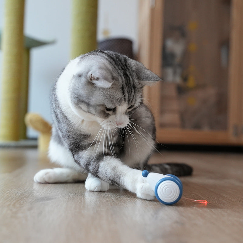 Enchanting PETLIBRO LED Wonderland: Captivating Indoor Cat Adventure - USB Rechargeable Smart Toy with Auto On/Off, Electric Mouse Magic & Irresistible Kitten Playtime!