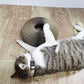 Magic Organ 2-in-1 Cat Scratcher