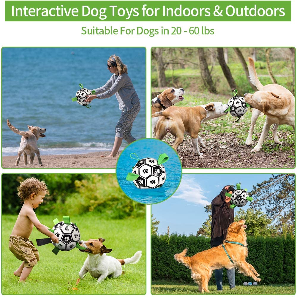 Interactive Dog Football (Soccer) Toy: Fun Training, Chewing & Water Play Accessory for Dogs