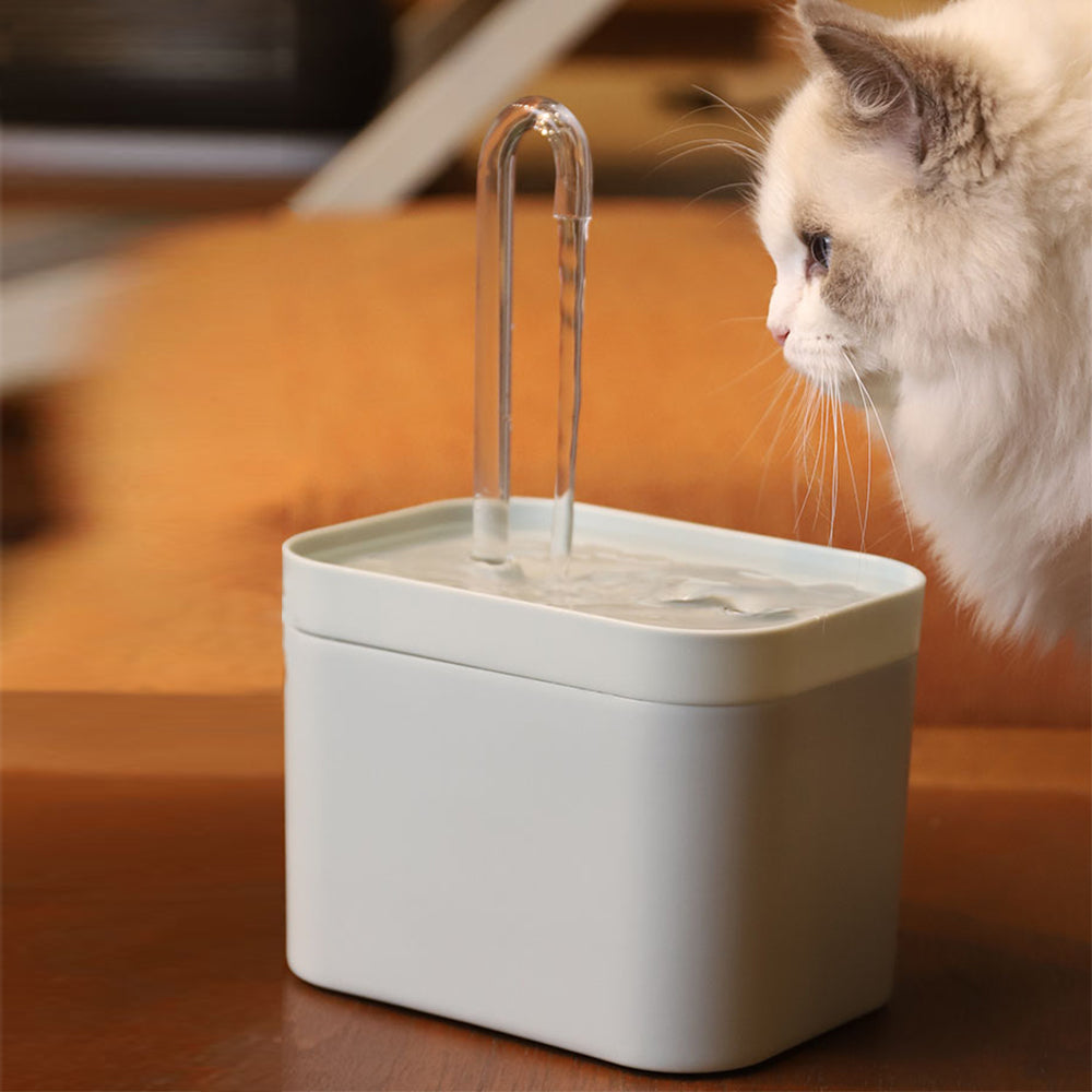 AquaPaws Pet Hydration Station